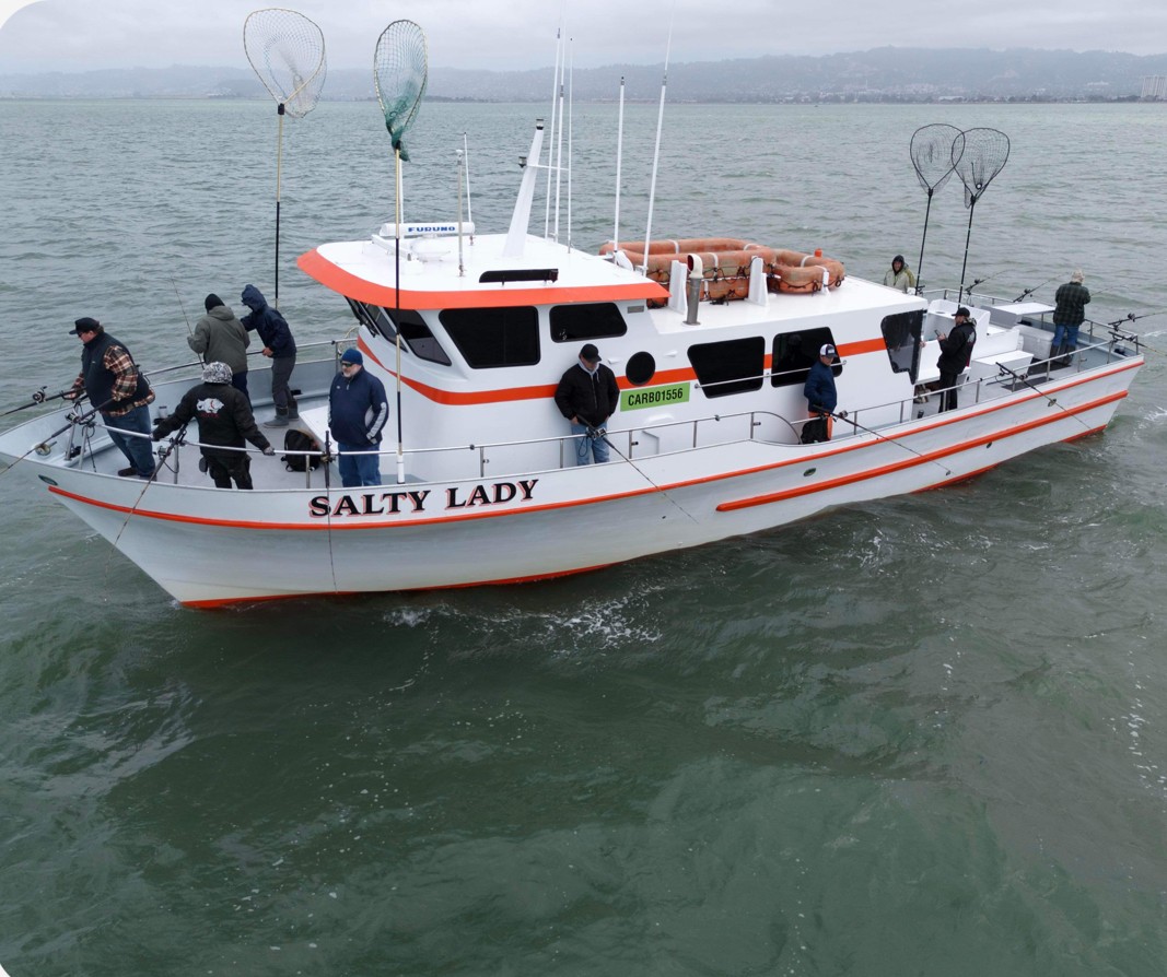 Salty Lady Salty Lady